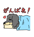愛犬ラッシュ君のお話しスタンプ（個別スタンプ：38）