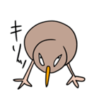 自由なキーウィ（個別スタンプ：2）