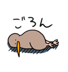 自由なキーウィ（個別スタンプ：6）