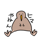 自由なキーウィ（個別スタンプ：10）