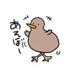 自由なキーウィ（個別スタンプ：13）