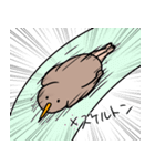 自由なキーウィ（個別スタンプ：26）