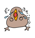 自由なキーウィ（個別スタンプ：39）