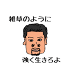 るんさんとかわいい仲間達（個別スタンプ：14）