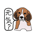 色々な犬の顔（個別スタンプ：5）