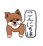 色々な犬の顔（個別スタンプ：8）