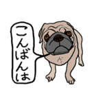 色々な犬の顔（個別スタンプ：9）