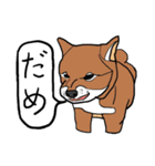 色々な犬の顔（個別スタンプ：12）