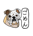 色々な犬の顔（個別スタンプ：14）