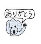 色々な犬の顔（個別スタンプ：16）