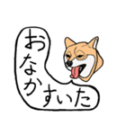 色々な犬の顔（個別スタンプ：17）