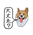 色々な犬の顔（個別スタンプ：21）