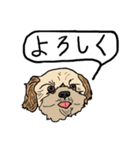 色々な犬の顔（個別スタンプ：22）