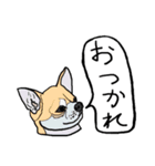 色々な犬の顔（個別スタンプ：24）