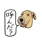 色々な犬の顔（個別スタンプ：25）