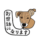 色々な犬の顔（個別スタンプ：27）