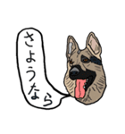 色々な犬の顔（個別スタンプ：34）