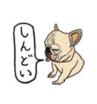 色々な犬の顔（個別スタンプ：35）