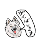 色々な犬の顔（個別スタンプ：36）