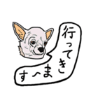 色々な犬の顔（個別スタンプ：37）