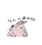 ぱぴこの日常（個別スタンプ：21）
