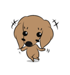 Dachshund2（個別スタンプ：20）