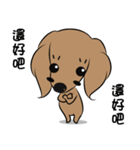 Dachshund2（個別スタンプ：21）