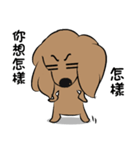 Dachshund2（個別スタンプ：27）