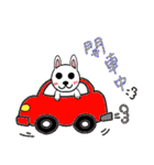 Family circle - pet articles（個別スタンプ：39）
