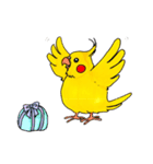 オカメインコ「ごん」vol.01（個別スタンプ：5）