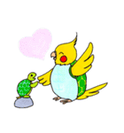 オカメインコ「ごん」vol.01（個別スタンプ：8）