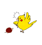 オカメインコ「ごん」vol.01（個別スタンプ：11）
