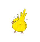 オカメインコ「ごん」vol.01（個別スタンプ：12）