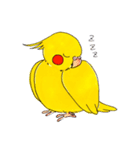 オカメインコ「ごん」vol.01（個別スタンプ：18）