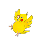 オカメインコ「ごん」vol.01（個別スタンプ：20）