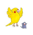 オカメインコ「ごん」vol.01（個別スタンプ：21）