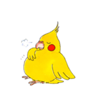 オカメインコ「ごん」vol.01（個別スタンプ：22）