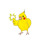 オカメインコ「ごん」vol.01（個別スタンプ：24）