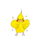 オカメインコ「ごん」vol.01（個別スタンプ：25）