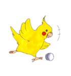 オカメインコ「ごん」vol.01（個別スタンプ：26）