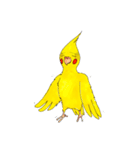 オカメインコ「ごん」vol.01（個別スタンプ：27）