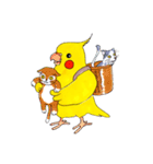 オカメインコ「ごん」vol.01（個別スタンプ：33）