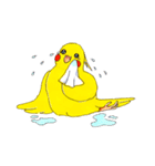 オカメインコ「ごん」vol.01（個別スタンプ：38）