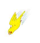 オカメインコ「ごん」vol.01（個別スタンプ：40）