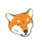 柴犬ちゃん（赤柴）（個別スタンプ：4）