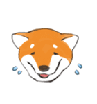 柴犬ちゃん（赤柴）（個別スタンプ：5）