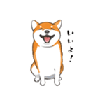 柴犬ちゃん（赤柴）（個別スタンプ：6）
