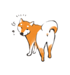 柴犬ちゃん（赤柴）（個別スタンプ：8）