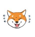 柴犬ちゃん（赤柴）（個別スタンプ：12）