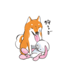 柴犬ちゃん（赤柴）（個別スタンプ：13）